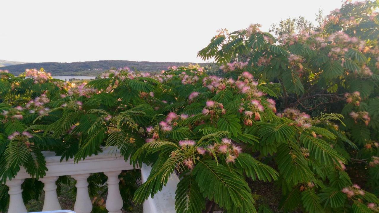 The Garden Of Elais Βίλα Σίμπενικ Εξωτερικό φωτογραφία